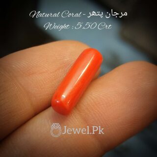 Natural Marjan - Red Coral Gemstone