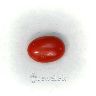 Natural Red Coral - Italian Coral - Marjaan Stone - Marjan Stone