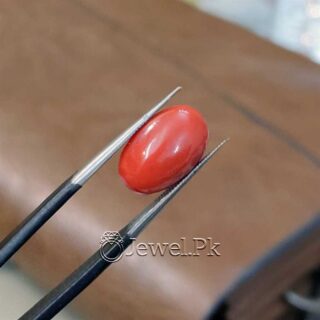 Natural Red Coral - Italian Coral - Marjaan Stone - Marjan Stone