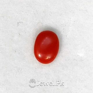 Natural Red Coral - Italian Coral - Marjaan Stone - Marjan Stone