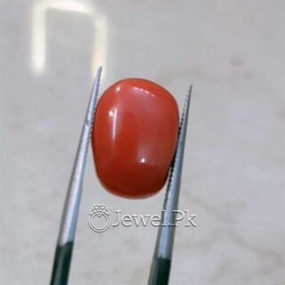 Natural Red Coral - Italian Coral - Marjaan Stone - Marjan Stone
