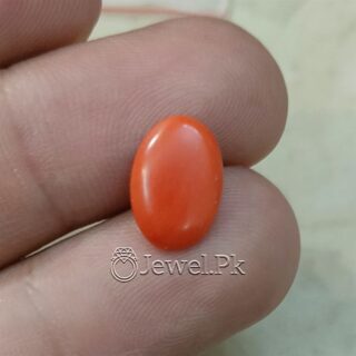 Natural Red Coral - Italian Coral - Marjaan Stone - Marjan Stone