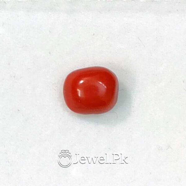Natural Red Coral - Italian Coral - Marjaan Stone - Marjan Stone