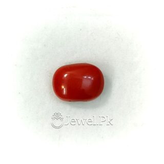 Natural Red Coral - Italian Coral - Marjaan Stone - Marjan Stone