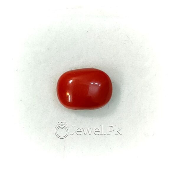 Natural Red Coral - Italian Coral - Marjaan Stone - Marjan Stone