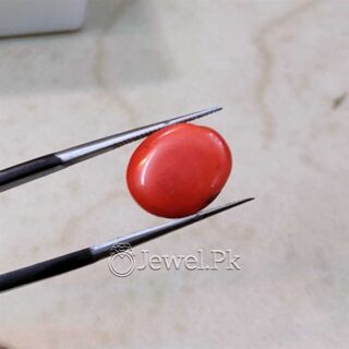 Natural Red Coral - Italian Coral - Marjaan Stone - Marjan Stone
