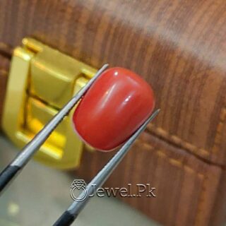 Natural Red Coral - Italian Coral - Marjaan Stone - Marjan Stone