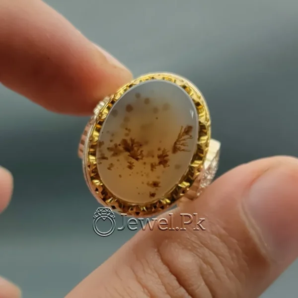 Natural Agate Ring - 925 Silver - Chaandi Ring