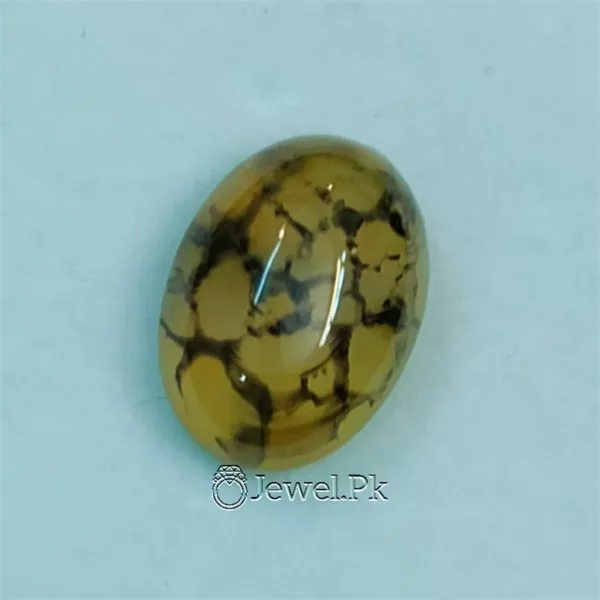 shajri agate result