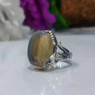 Shajri Aqeeq - Natural Dendritic Agate 925 Silver