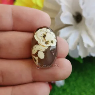Sweet Teddy Bear Face Agate Natural Gemstone – Aqeeq Shajri