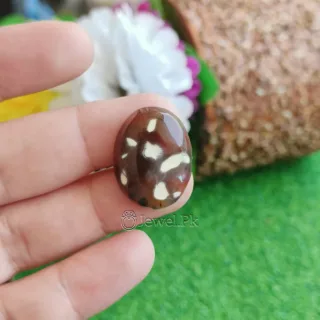 Natural Agate Brown - Shajri Aqeeq Stone
