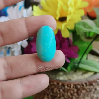Natural Turquoise - Nishapuri Feroza