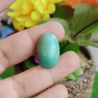 Natural Turquoise Stone Feroza nishapuri nysaburi feroz 8