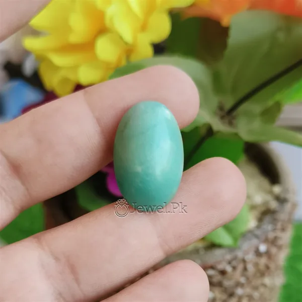 Natural Turquoise Stone Feroza nishapuri nysaburi feroz 8