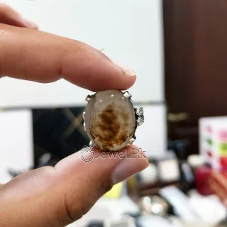 Shajari Yamni aqeeq dendritic yemen agate 17