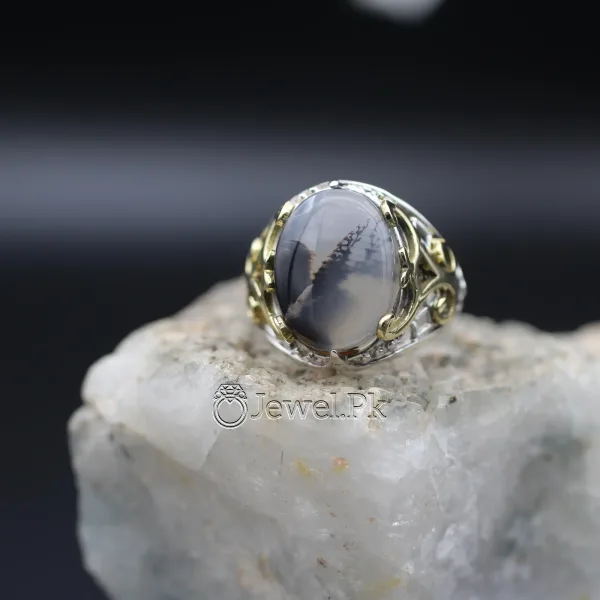 Shajari Yamni aqeeq dendritic yemen agate 6