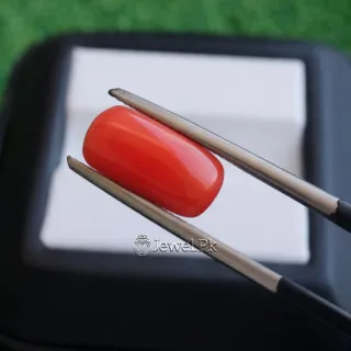 Marjaan Stone - Natural Red Coral Stone