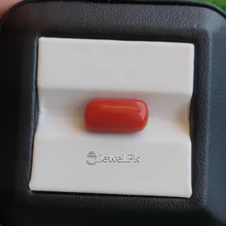 Marjaan Stone - Natural Red Coral Stone
