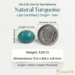Natural Turquoise Stone Feroza Nishaburi irani feroza 11