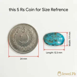 Natural Turquoise Stone Feroza Nishaburi irani feroza 12
