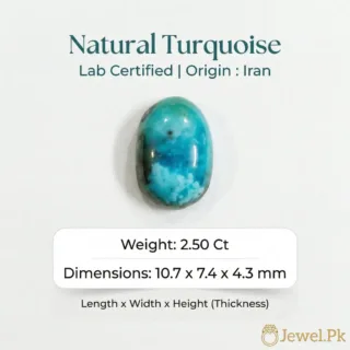 Natural Turquoise - Nishapuri Feroza