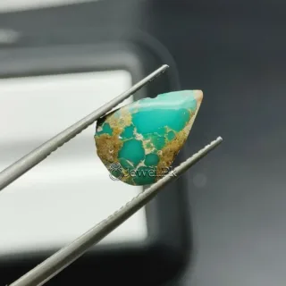 Natural Green Turquoise - Nishapuri Hussaini Feroza